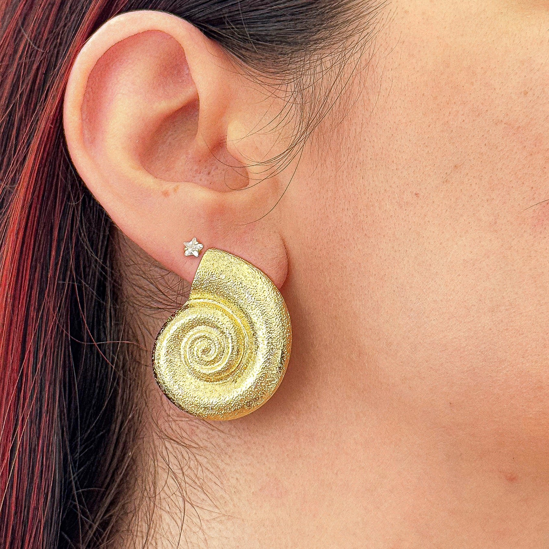Brinco Nautilo