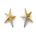 Brinco Estrela