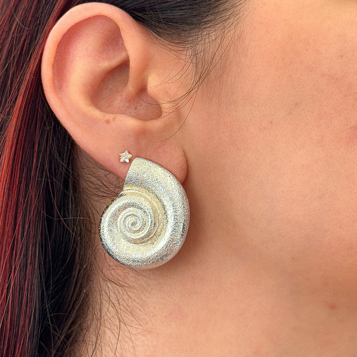 Brinco Nautilo
